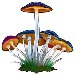 Poisonous Fungi PNG riw14 PNG