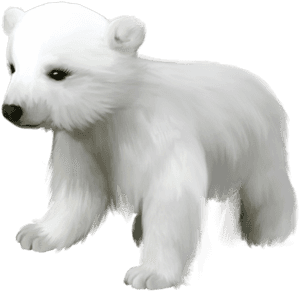 Free Png Download Cute Small Polar Bear Png Images - Cute Polar Bear Clipart, Transparent Png PNG image with transparent background