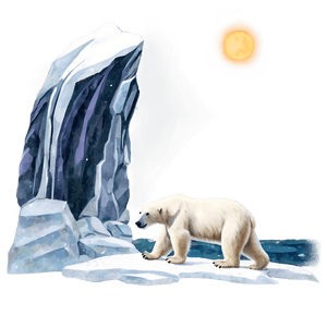 Polar Bear Illustration PNG ahl PNG image with transparent background