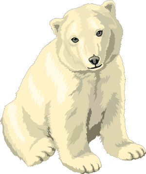 Polar Bear Png Clipart, Transparent Png PNG with transparent background