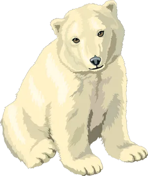 Polar Bear Illustration PNG Image