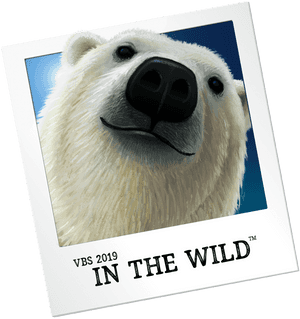 Vbs In The Wild 2019, HD Png Download PNG with transparent background