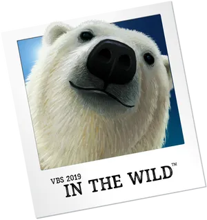 Polar Bear Portrait V B S2019 PNG Image