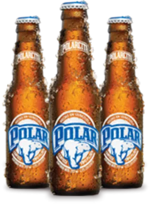 Polar Cerveza Bottles Chilled PNG Image