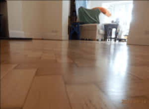 Polished Wooden Floor Interior PNG image with transparent background