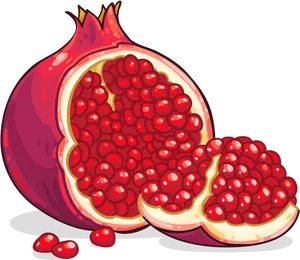 Pomegranate Illustration Cut Open PNG Image