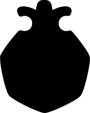 Pomegranate, HD Png Download PNG