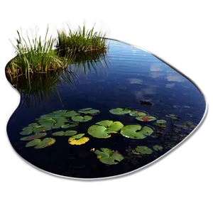 Pond Reflections Art Png Kwn PNG Image