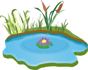 Pond, Water, Outdoor, Grass, Outdoors, Foliage - Lake Clipart, HD Png Download PNG image with transparent background