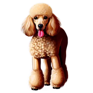 Poodle Dog Illustration Png 1 PNG Image