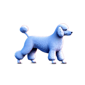 Poodle Dog Illustration PNG 68 PNG image with transparent background