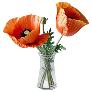 Poppy Bouquet Arrangement Png 61 PNG Image