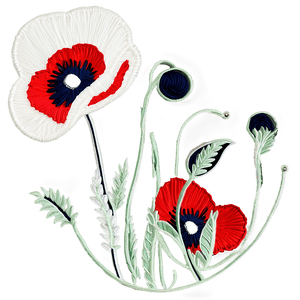 Poppy Embroidery Design PNG 06112024 PNG image with transparent background