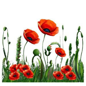 Poppy Field Landscape PNG 73 PNG image with transparent background