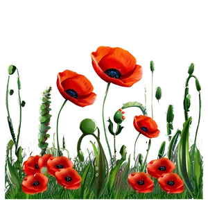 Poppy Field Landscape Png 73 PNG Image