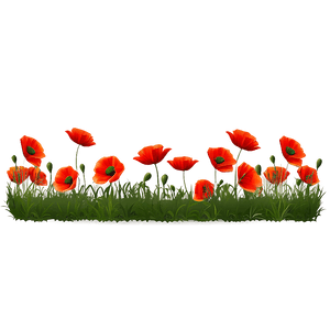 Poppy Field Landscape PNG cki37 PNG image with transparent background