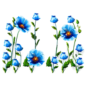 Poppy Floral Border PNG 40 PNG image with transparent background