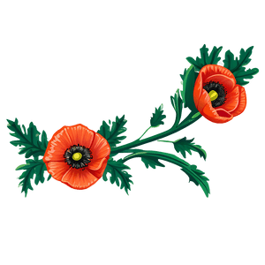 Poppy Floral Border PNG lca PNG image with transparent background