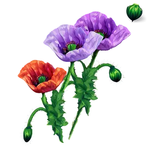 Poppy Flower Sticker Png 93 PNG Image