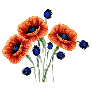 Poppy Flower Sticker Png Uey PNG Image