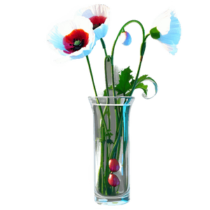 Poppy in Vase PNG 28 PNG image with transparent background
