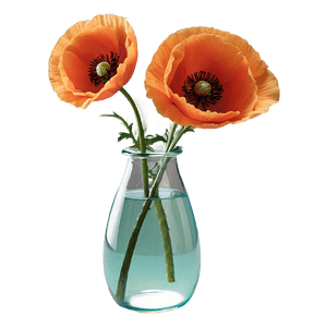 Poppy in Vase PNG jbo PNG image with transparent background