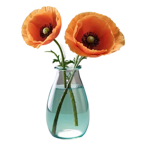 Poppy In Vase Png Jbo PNG Image