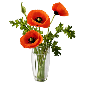 Poppy in Vase PNG pso63 PNG image with transparent background