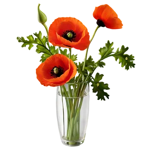 Poppy In Vase Png Pso63 PNG Image