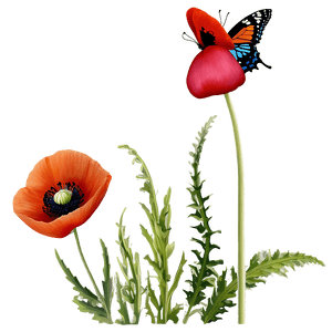 Poppy with Butterfly PNG 22 PNG image with transparent background