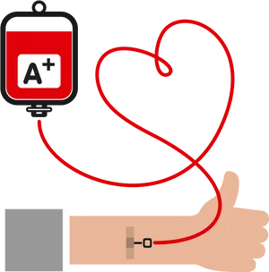 Positive Blood Donation Graphic PNG Image