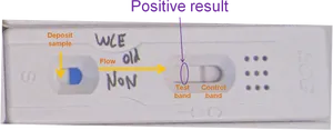 Positive Pregnancy Test Result PNG Image