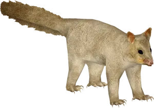 Possum Standing Transparent Background PNG Image