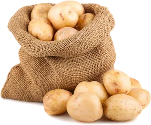 Potatoesin Burlap Sack PNG Image