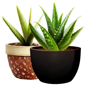 Potted Aloe Vera Plants Png 40 PNG Image