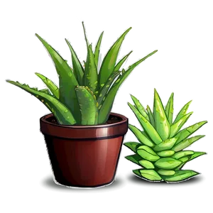 Potted Aloe Vera Plants Png Tec PNG Image