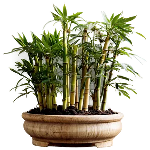 Potted Bamboo Plants Png 75 PNG Image