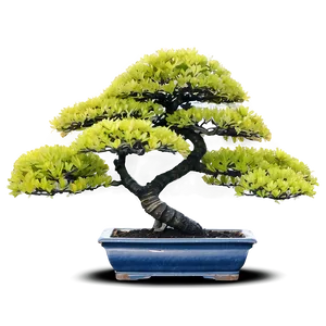 Potted Bonsai Trees Png 74 PNG Image
