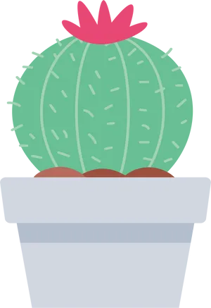 Potted Cactus Cartoon Illustration PNG Image