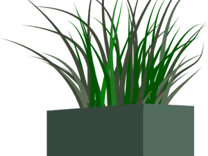 Potted Grass3 D Rendering PNG Image