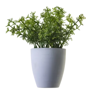 Potted Green Herb Plant PNG Image