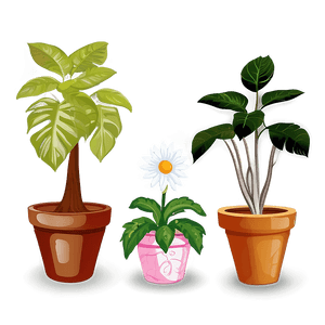Potted Plant Clipart PNG 06122024 PNG