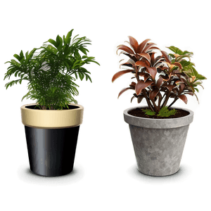 Potted Plant Decoration Ideas PNG aqt PNG