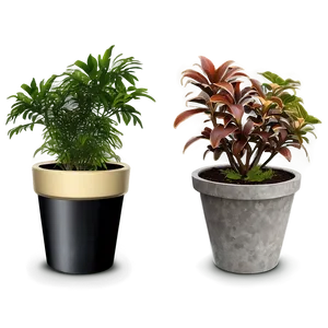 Potted Plant Decoration Ideas Png Aqt PNG Image