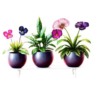 Potted Plant Decoration Ideas PNG whi10 PNG