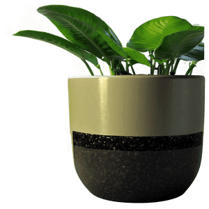 Potted Plant Fertilizers PNG 06122024 PNG