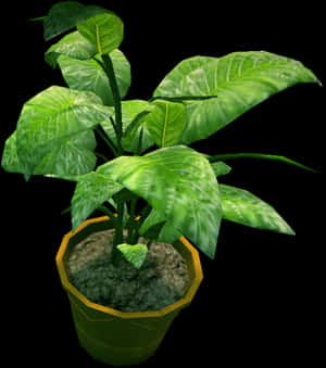 Transparent Indoor Plant Png - Potted Plant Top Png, Png Download PNG image with transparent background