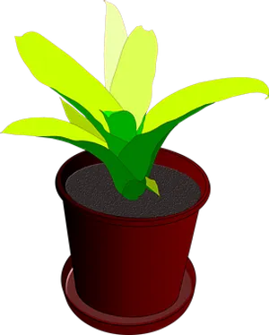 Potted Plant Illustration PNG Image