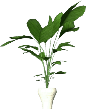 Potted Plant Interior Decor PNG image with transparent background