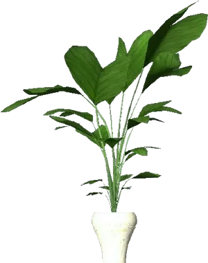 Potted Plant Interior Decor PNG Image